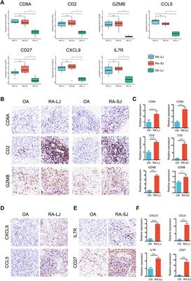 Identification of key candidate genes and pathways in rheumatoid arthritis and osteoarthritis by integrated bioinformatical analysis